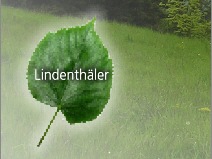 Lindenthler - Liste der Namenstrger